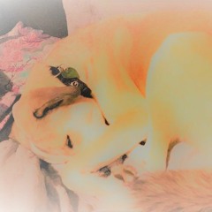 Liberty (very basic Scratch Track)