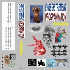 minsungsig - Enregistrement Programmation clips