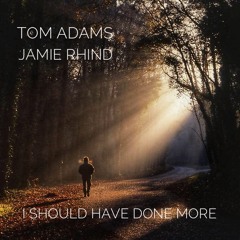 I Should Have Done More - with Tom Adams / guitar