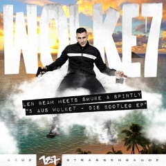 Gzuz Warum Len Beam Meets Shure And Spintly -Bootleg