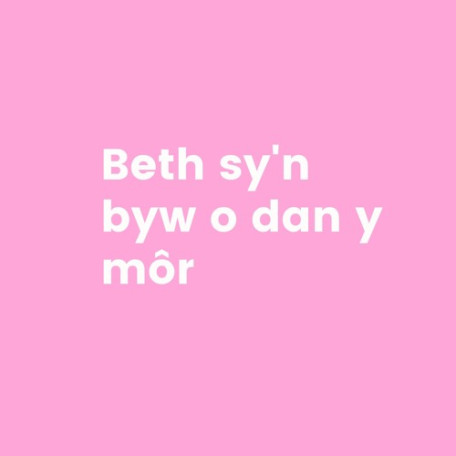 Stream Beth Sy'n Byw O Dan Y Mor By Eisteddfod | Listen Online For Free ...