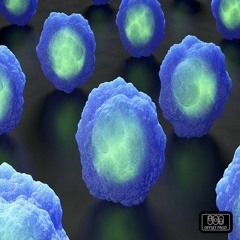 Offset Prod - Cyber Funk Minds Demo