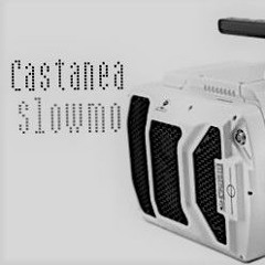 Castanea - Slowmo (downtempo_cut mix)