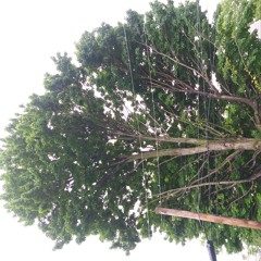 Song - Black Moon.mp3