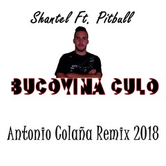 Shantel Ft. Pitbull - Bucovina Culo (Antonio Colaña 2018 Remix)