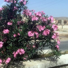 Chapter C: Route Athrya-Khanasir