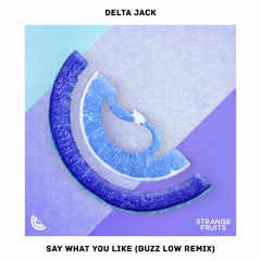 Delta Jack - Say What You Like (Buzz Low Remix)🍉