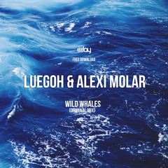 Free Download: Luegoh & Alexi Molar - Wild Whales (Original Mix)  [8day]