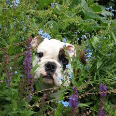 07. Estimated Prophet (Music Addict Dub)