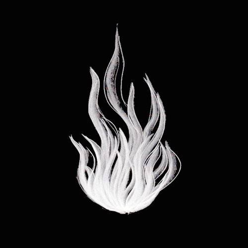 mickmon X Shay Fogarty | Fire