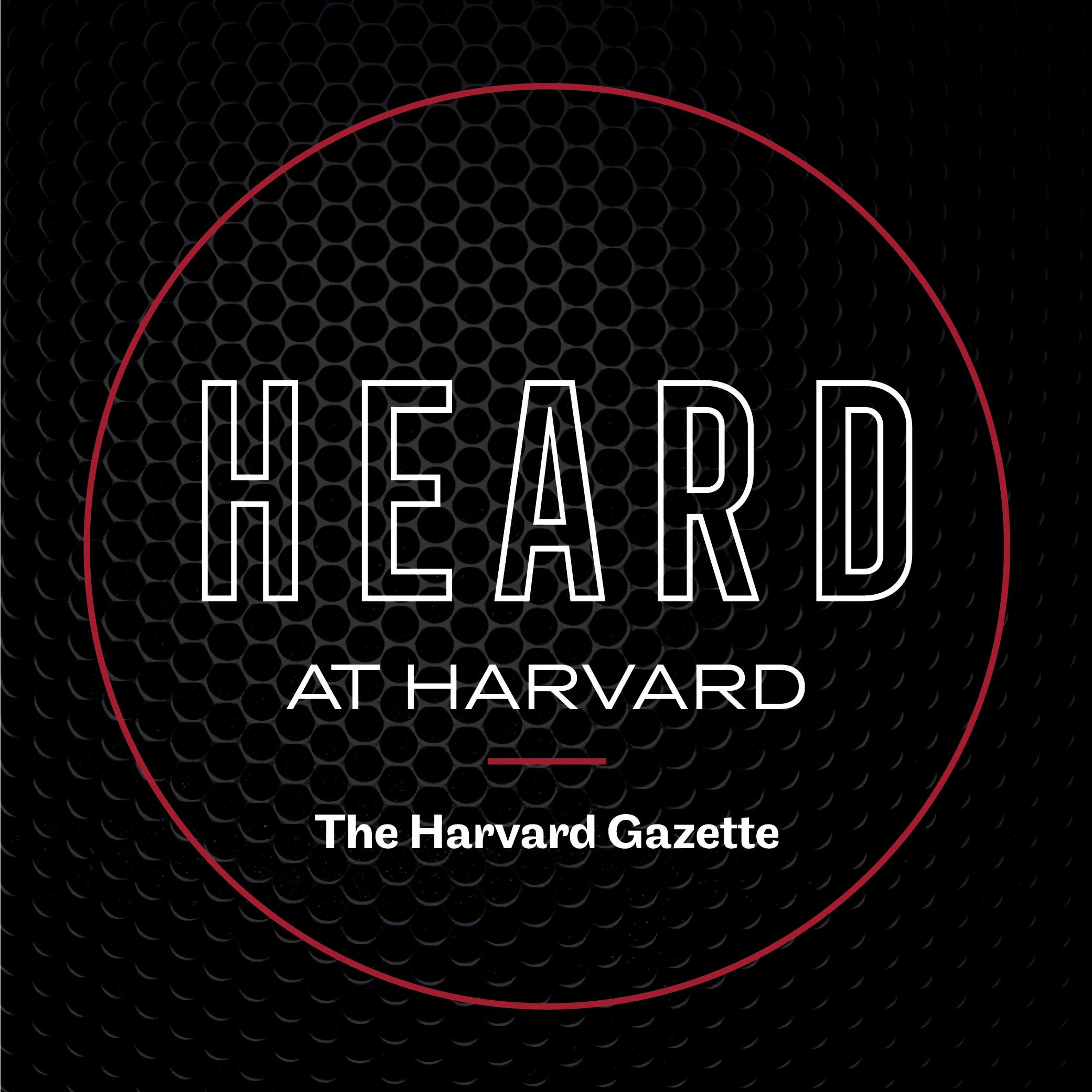 Harvard University
