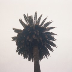 6-11-18 (w/ Jack Dine)