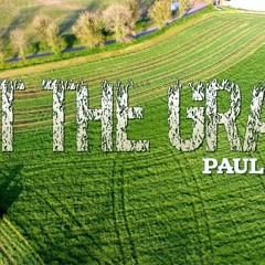 Paul Kelly