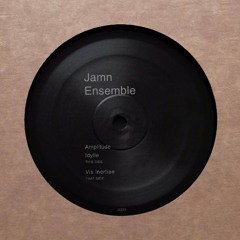 A1. Amplitude