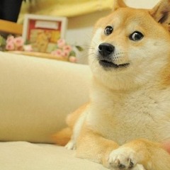 Super chill vaporshit