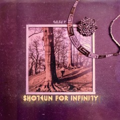 Shotgun For Infinity