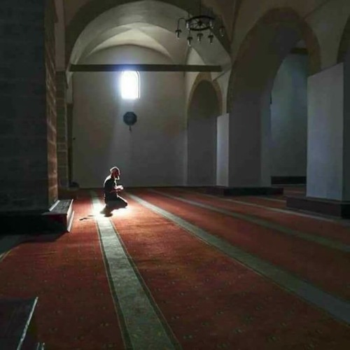 منزلة التبتل .. د. فريد الأنصاري
