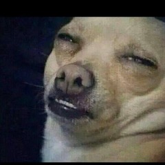 N I V L E K ~ SMOKE [Ninja Gang Music] 500play Free