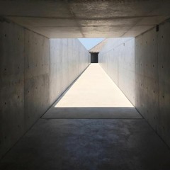 Grillos Y Ranas - Sonosincresis Wabi - 06.18