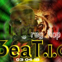 BeaT.I.G - reg hop (instru hip hop basic 2018)