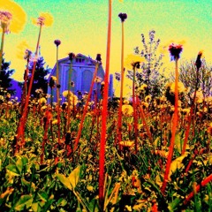 Bruder Jakob & Stefan Pflaum_THESE.TINY.FEELINGS_27.05.2018