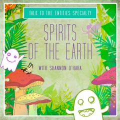 What are "Spirits Of The Earth"?