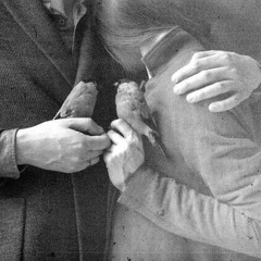 erkan oğur & ismail fencioğlu - karahisar kalesi