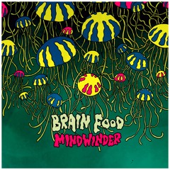 Mindwinder (single version)