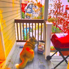 Porchside Vibes - Lo Fi Mix