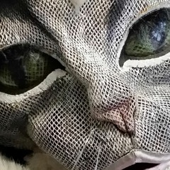 BLURRY EYES New Version