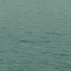 Petit Vals (Violin & Marimba)