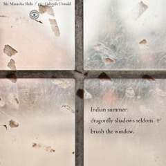 Indian summer dragonfly shadows seldom brush the window (Naviarhaiku 232)