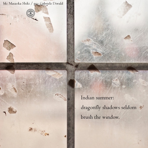 Indian summer dragonfly shadows seldom brush the window (Naviarhaiku 232)