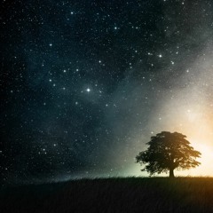 Cosmo Max - Devotion Of Silence