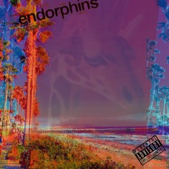 endorphins (HAPPINESS)