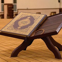 تلاوة رائعة بصوت أنس براق