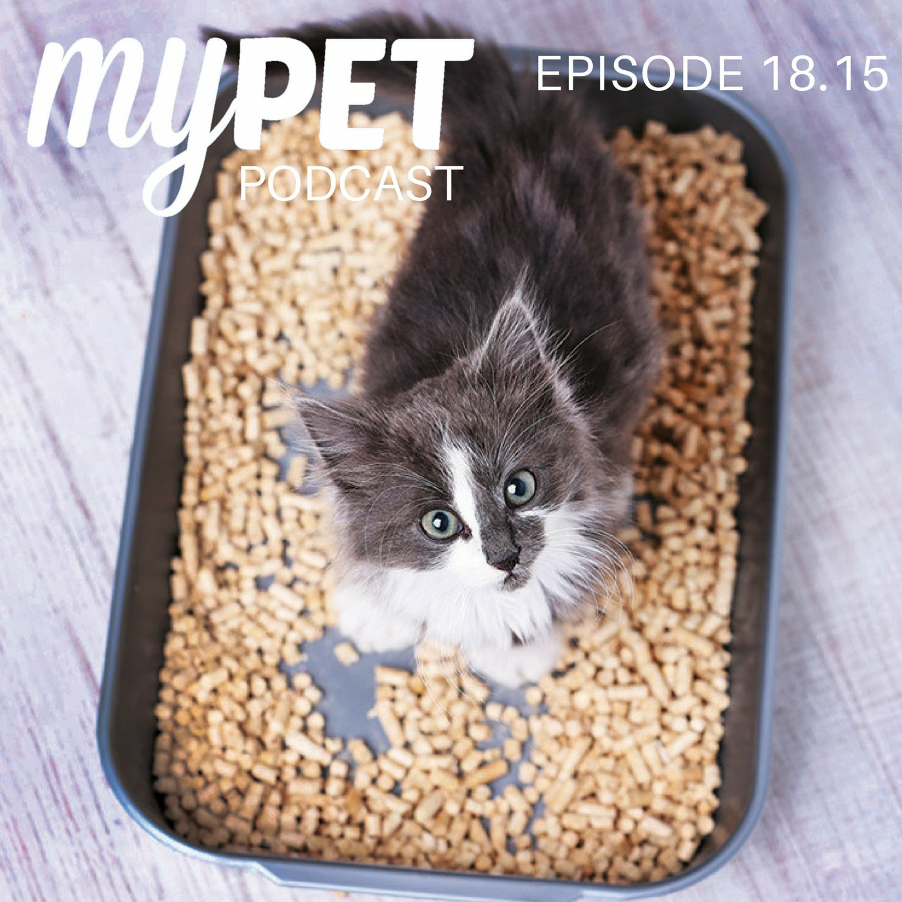 Does your cat have a wee problem? episode artwork