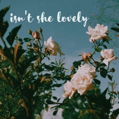 Isn't She Lovely - Stevie Wonder (Cover)