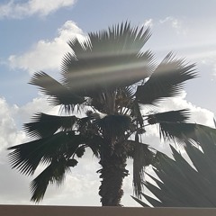 KimP Podcast for Deep House Toronto #50 June 2018