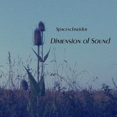 Spaceschneider - Echoes Of Love (feat. Augenmerk, Tunq & Special Cecilia) [Original Mix]