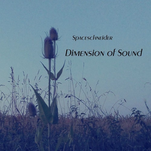 Spaceschneider - Echoes Of Love (feat. Augenmerk, Tunq & Special Cecilia) [Original Mix]