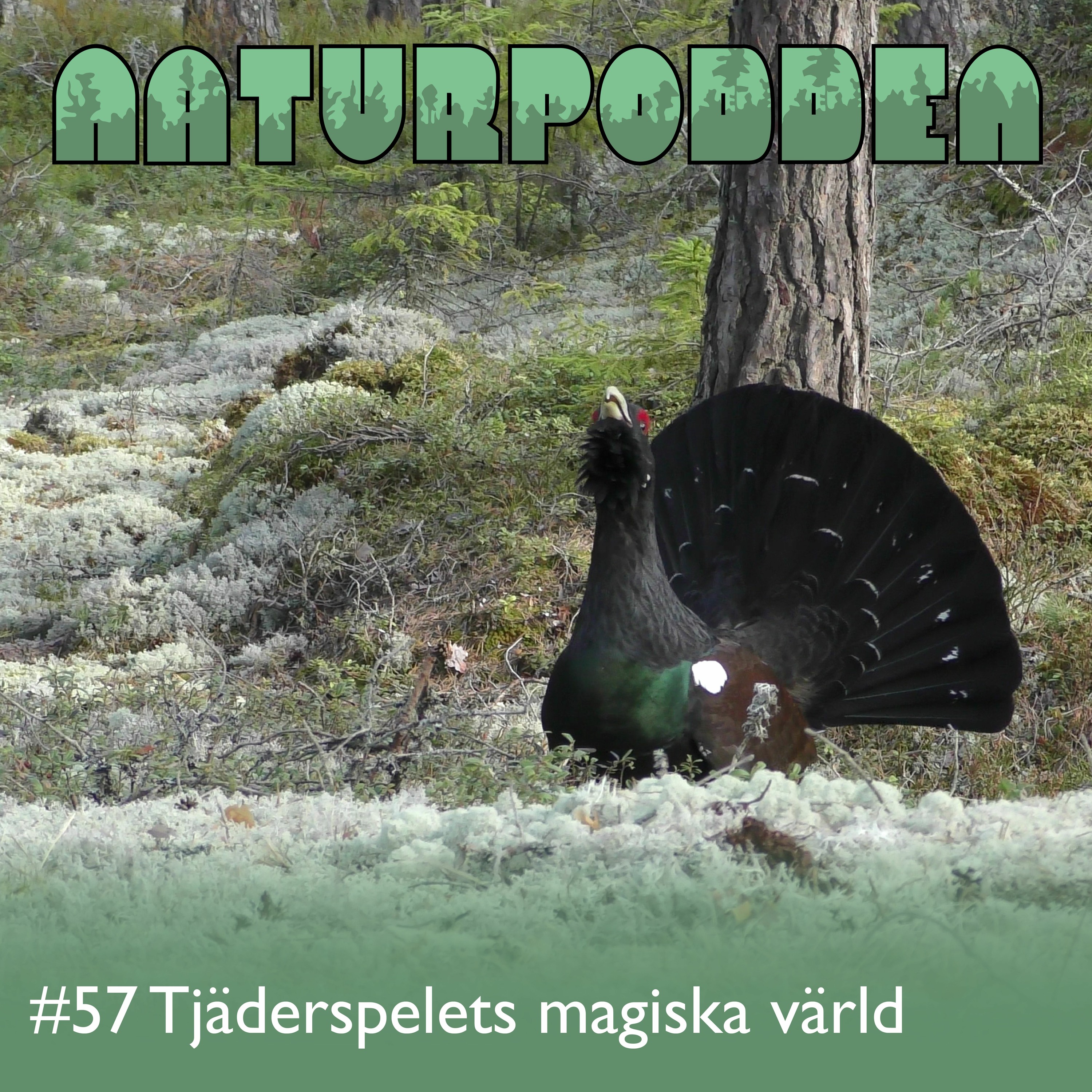 Naturpodden - Producerad av Biotopia