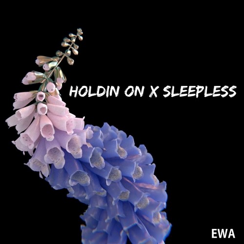 Flume - Holdin On x Sleepless *EWA OFFICIAL MASHUP*
