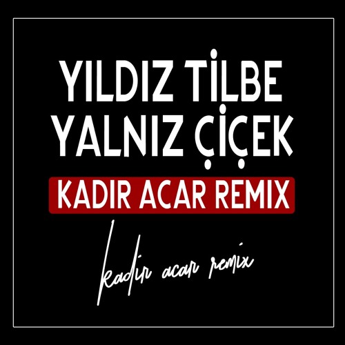 Yıldız Tilbe - Yalnız Çiçek (Kadir ACAR Remix)