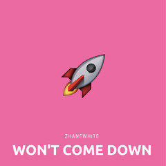 WON'T COME DOWN (Prod. by Young Taylor)