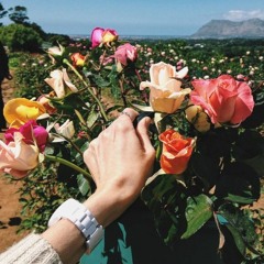 La Vie En Rose ( cover )