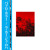 Artwork for Premiere: Pablo Color - Parasol (7pm) [Ish Records]