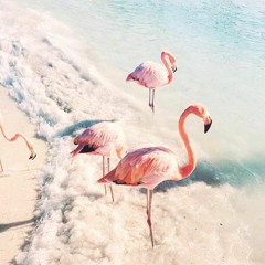 Charlotte Cardin - California (Luutz' Tropical Mix)