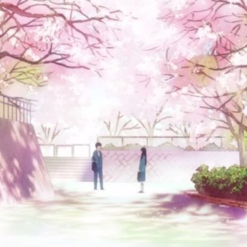 Sakura anata ni deaete yokatta ( Lời Việt)