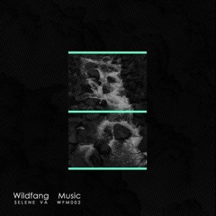 Premiere: youlaike - Tapir [Wildfang Music]